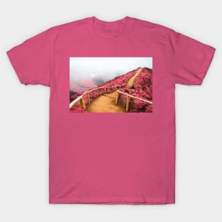 Empty walking trail T-Shirt